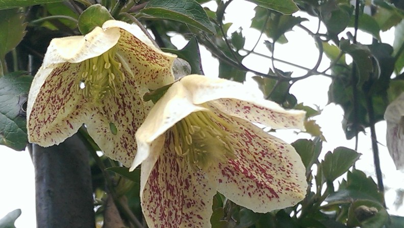 imag3022_burst002_cover