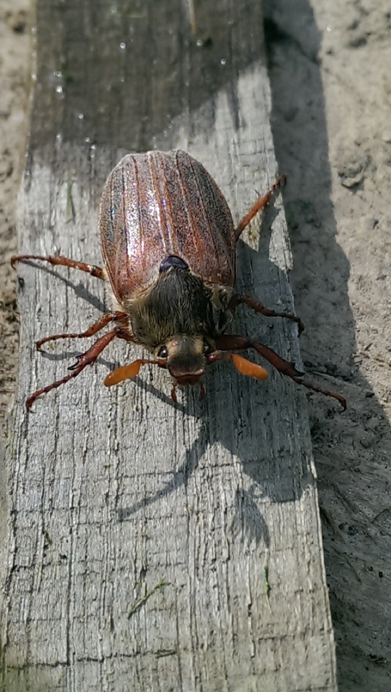 imag0089_25584203525_o