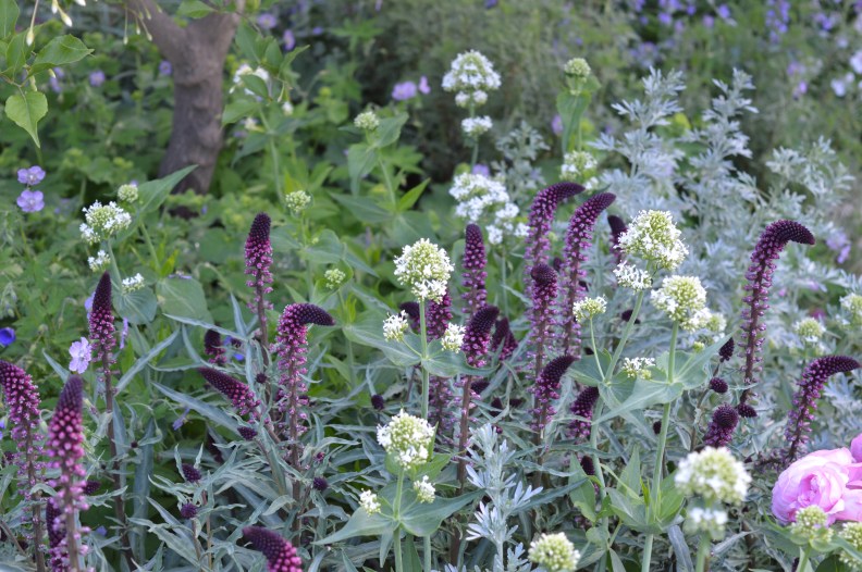 20309201699_8d57daf76f_o