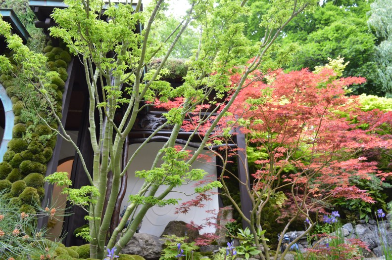 20517597725_0e9b616700_o