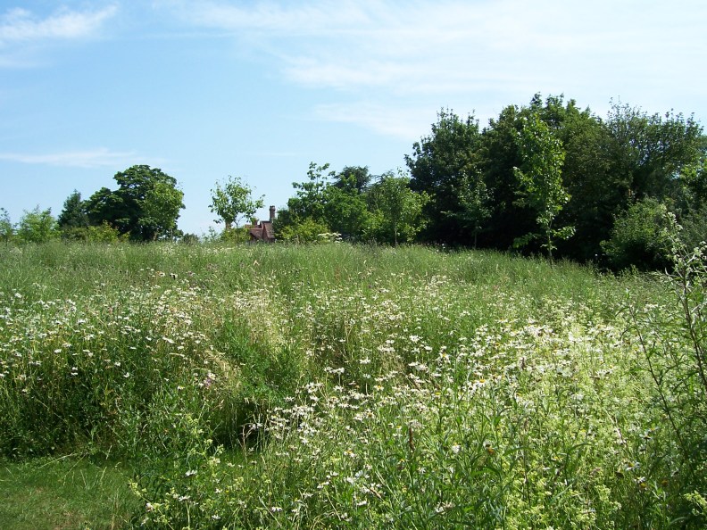 24480500976_7492bff58d_o