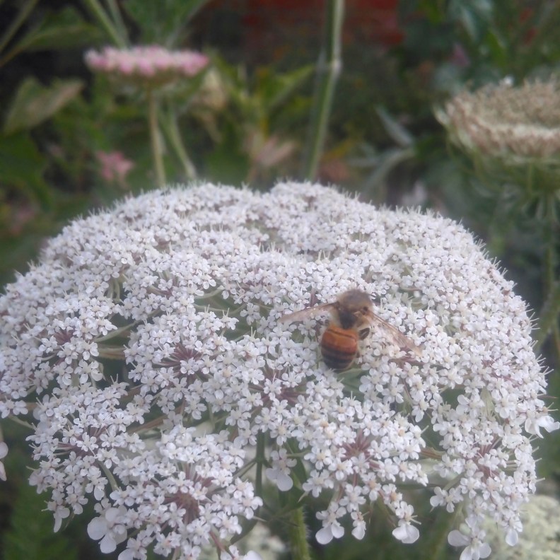 IMG_20170629_173525_628