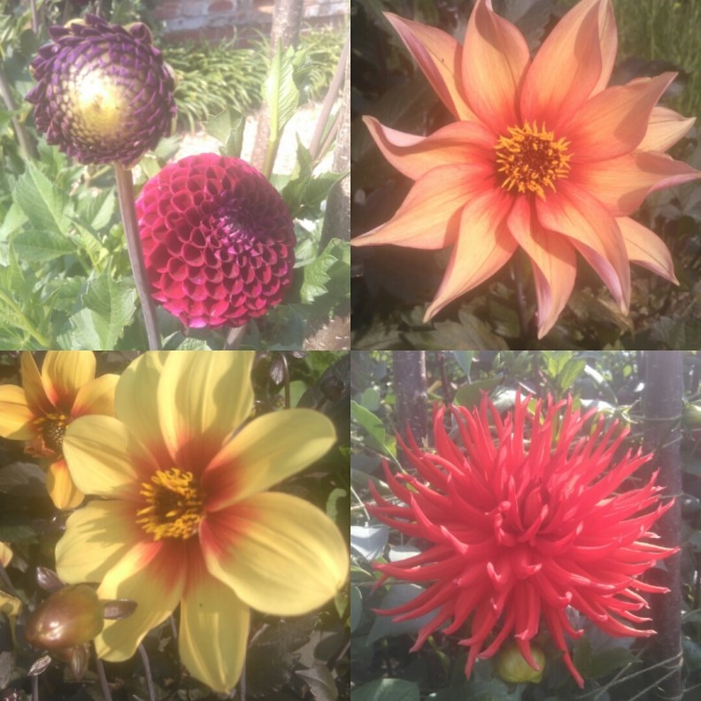 IMG_20170706_165915_783