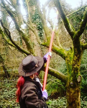 IMG_20170226_204906_594