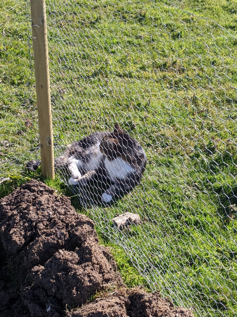 mvimg_20200404_153707